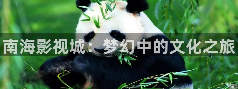 2024光棍影院在线观看