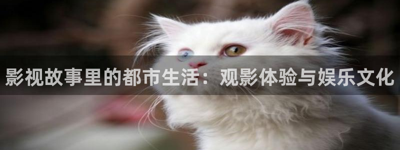 光棍影院2026：影视故事里的都市生活：观影体验与娱乐文化