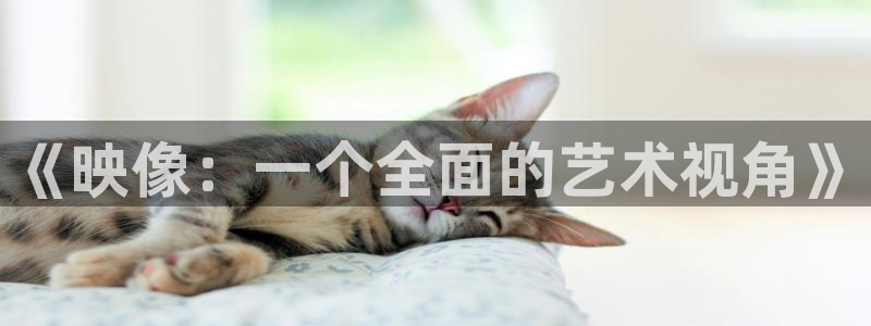 a光棍影院：《映像：一个全面的艺术视角》