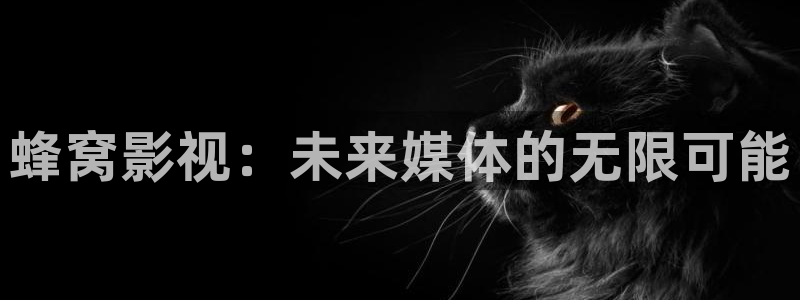 光棍影院手机推荐：蜂窝影视：未来媒体的无限可能