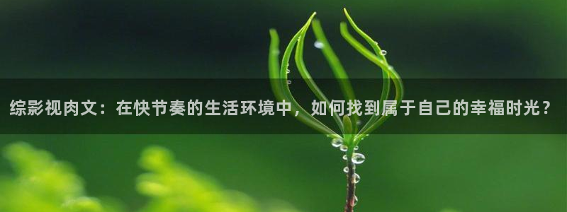 深夜光棍影院：综影视肉文：在快节奏的生活环境中，如何找到属于自己的幸福时光？